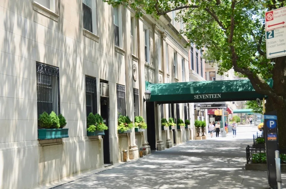 City street view with office building and potted plants